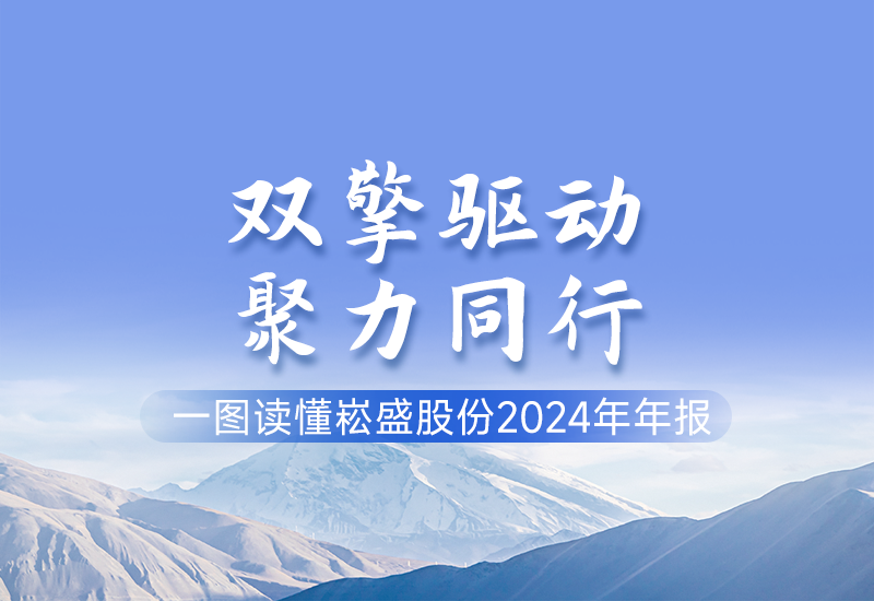 一图读懂 ▏BB电子游戏股份2024年年报